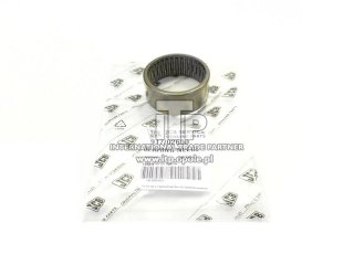 sam_5213-resizer-800w